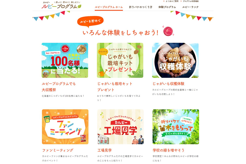ルビープログラム PCホーム画面